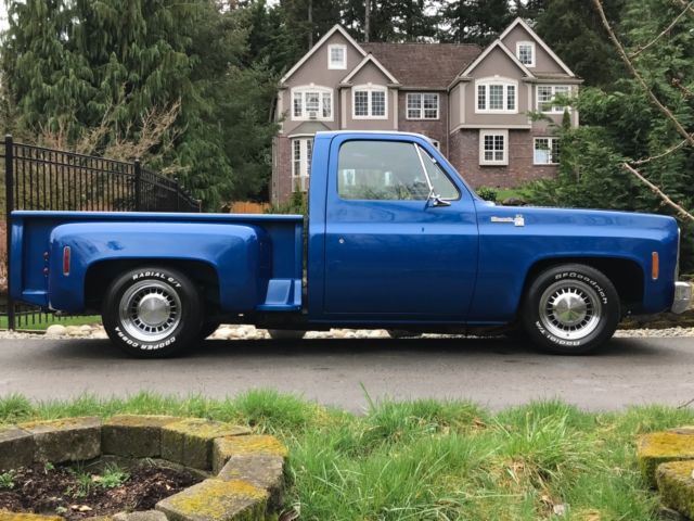 1979 Chevrolet C/K Pickup 1500 Silverado - photo 8