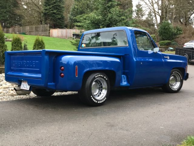 1979 Chevrolet C/K Pickup 1500 Silverado - photo 9