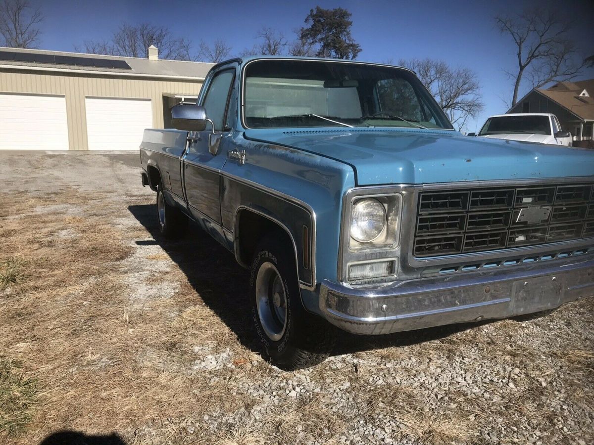 1979 Chevrolet C-10 - photo 3