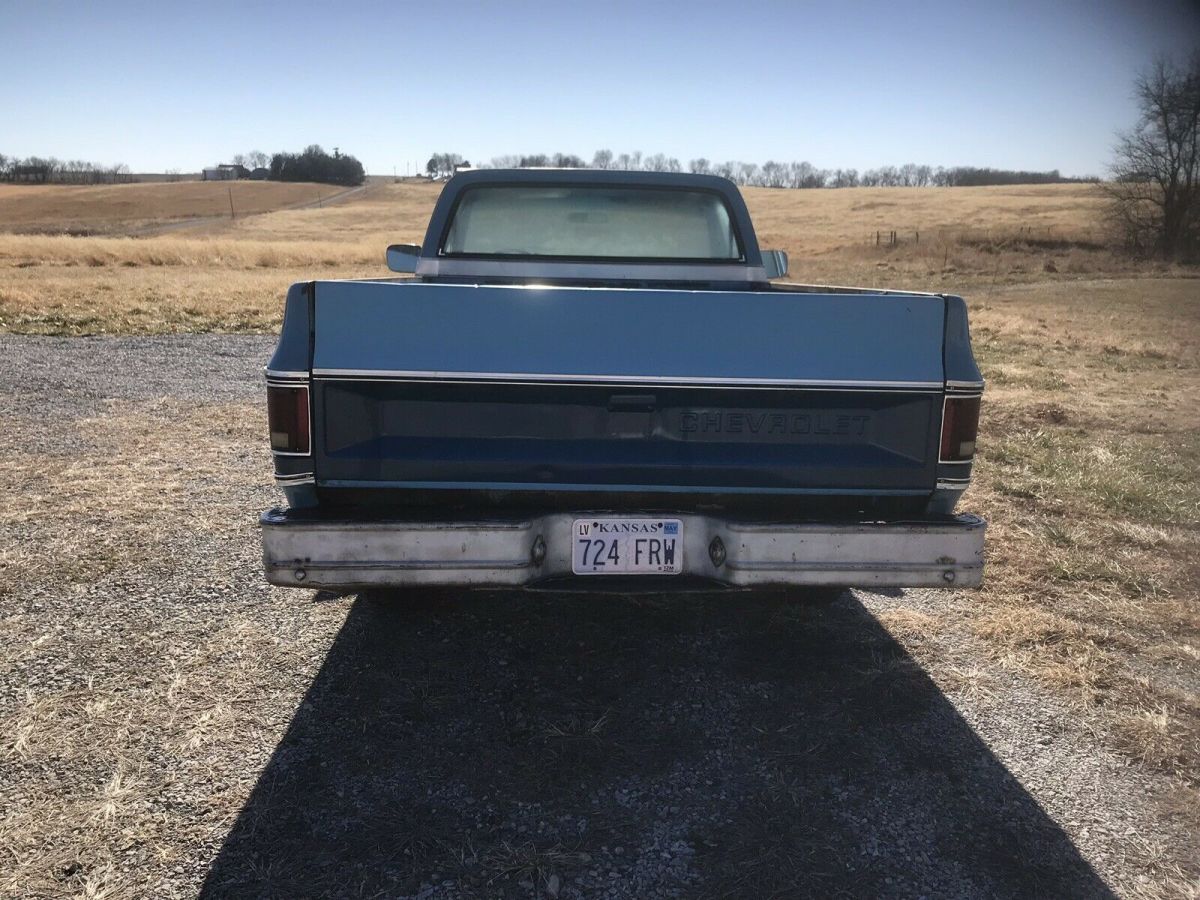 1979 Chevrolet C-10 - photo 4