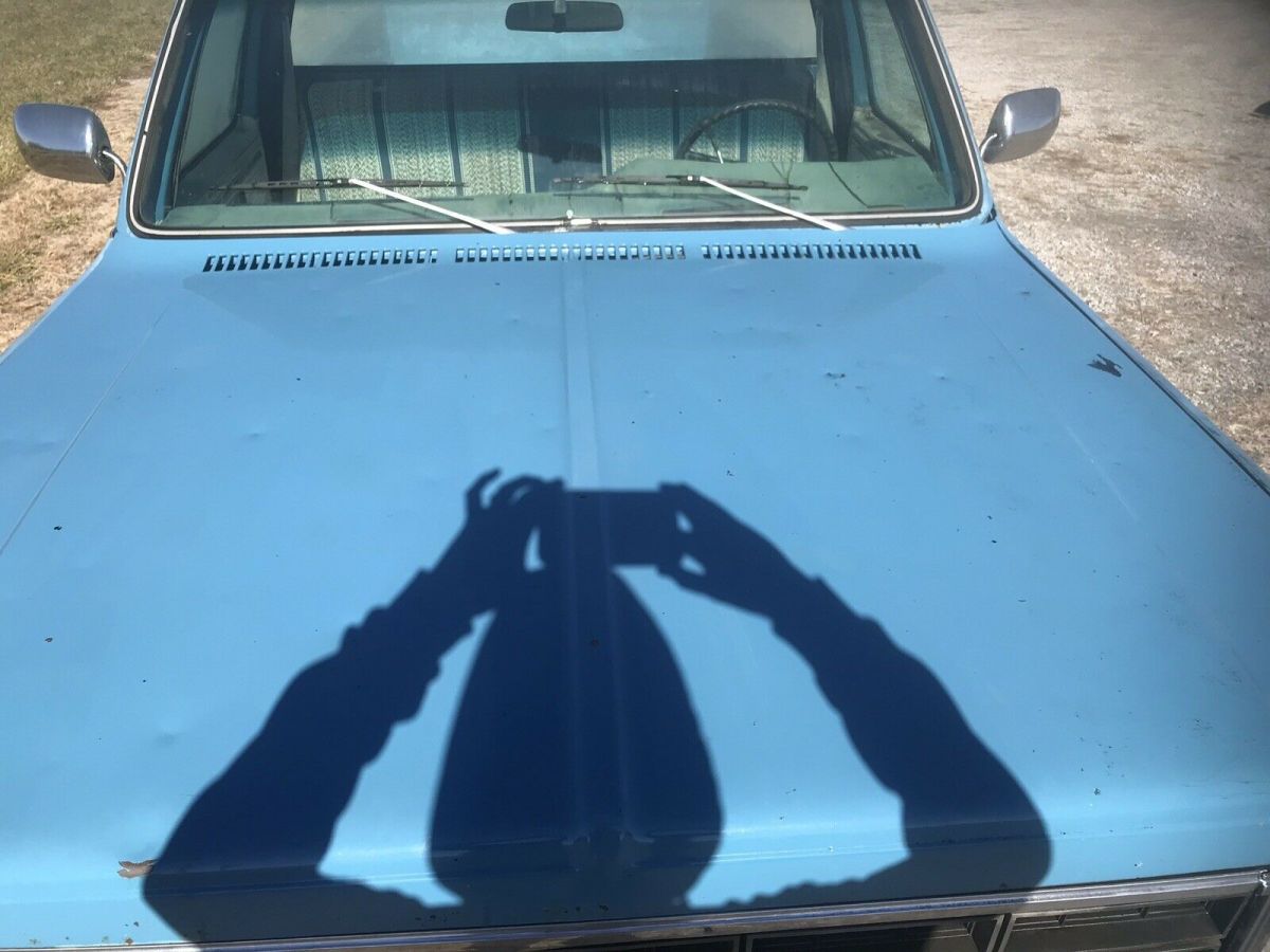 1979 Chevrolet C-10 - photo 7