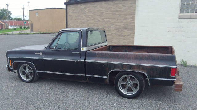 1979 Chevrolet C-10 C10 - photo 13