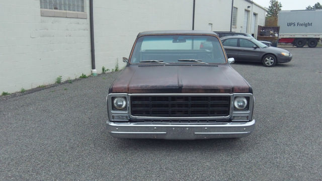 1979 Chevrolet C-10 C10 - photo 4