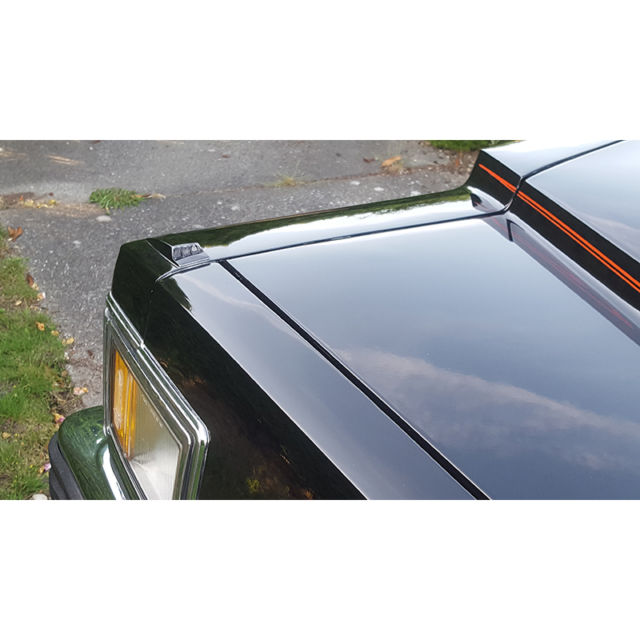 1979 Cadillac DeVille - photo 11