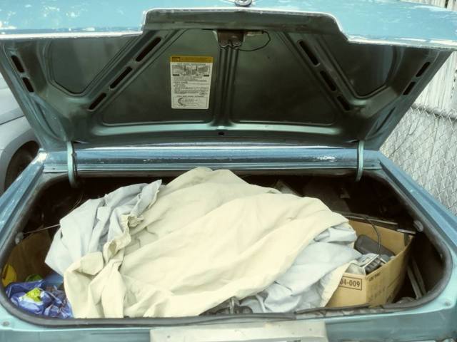 1979 Cadillac DeVille - photo 7