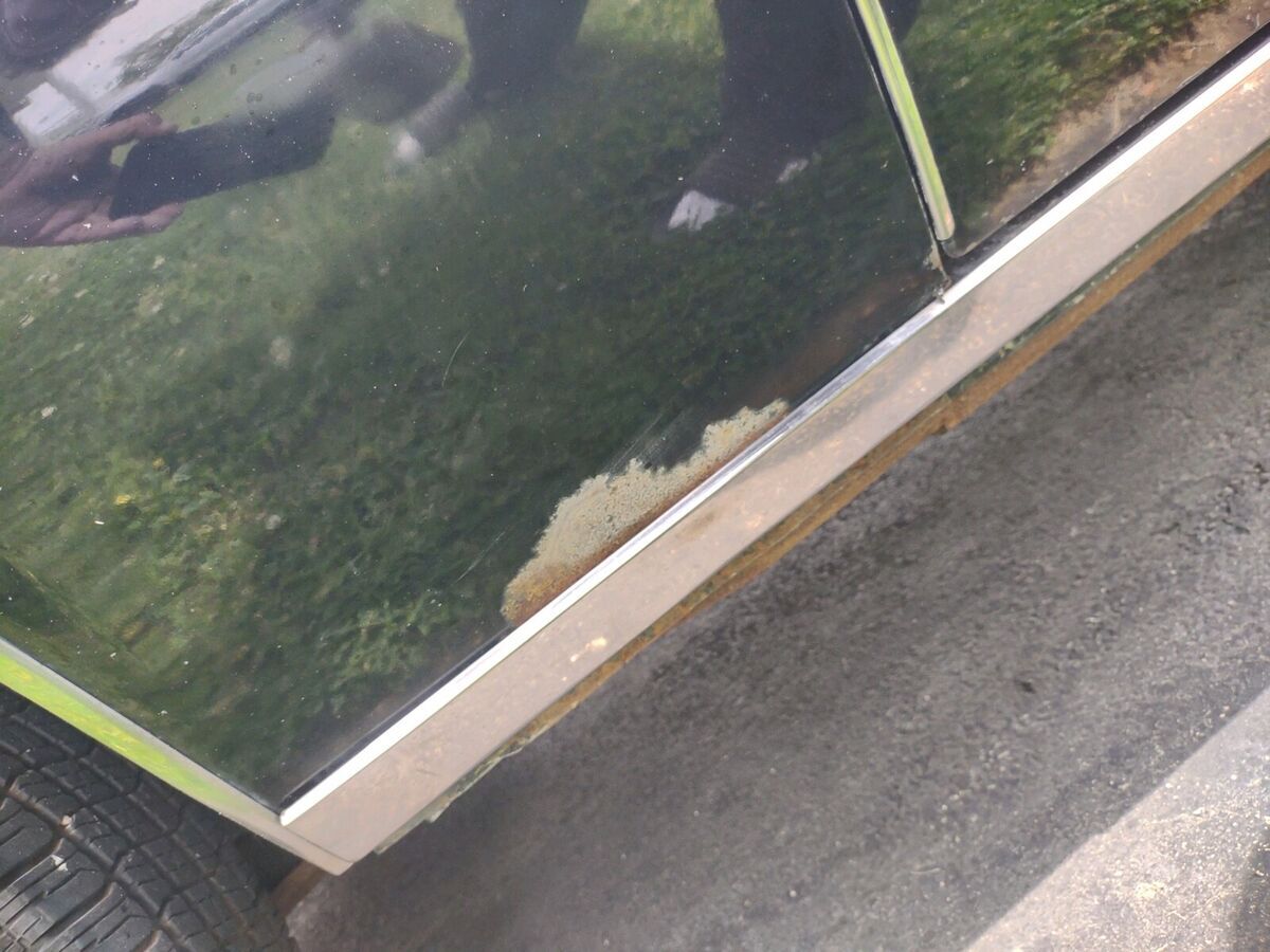 1979 Cadillac DeVille - photo 10