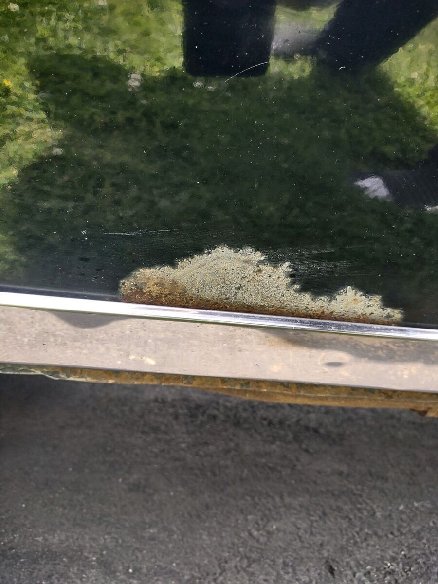 1979 Cadillac DeVille - photo 12