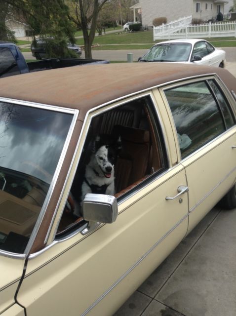 1979 Cadillac DeVille - photo 11