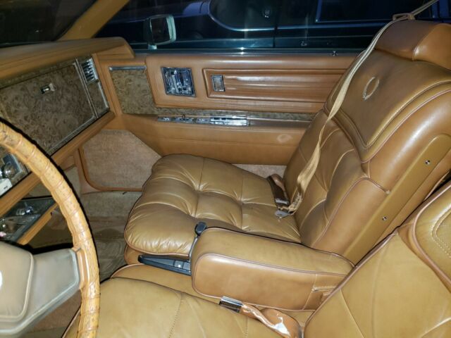 1979 Cadillac Eldorado Base - photo 8