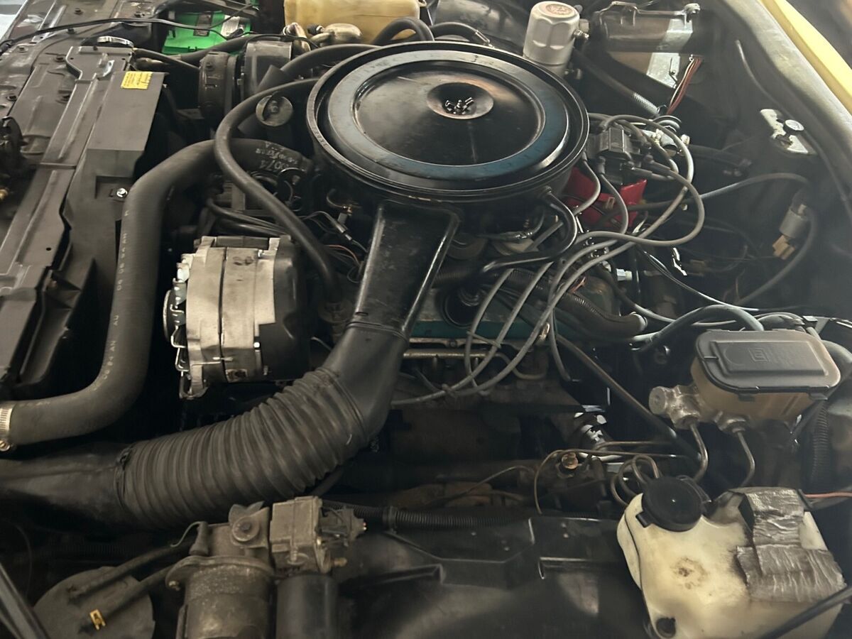 1979 Cadillac Eldorado Biarritz - photo 13