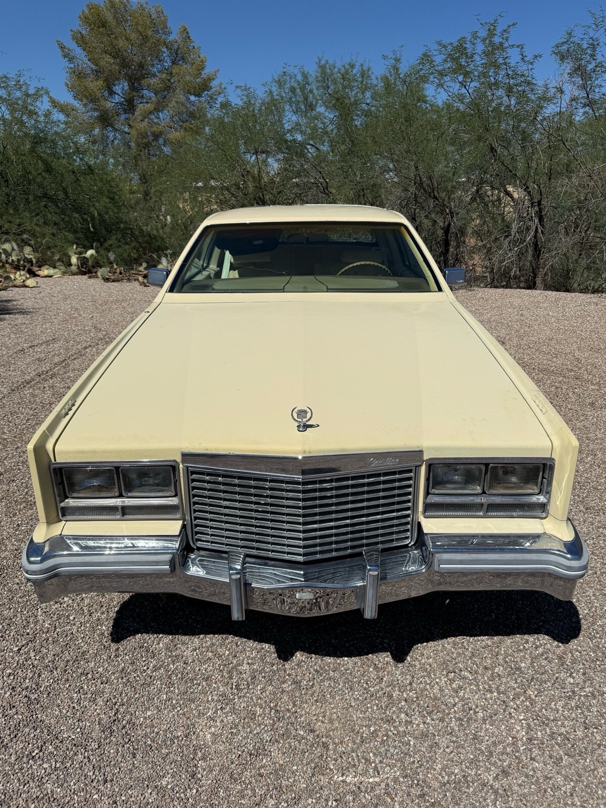 1979 Cadillac Eldorado - photo 5