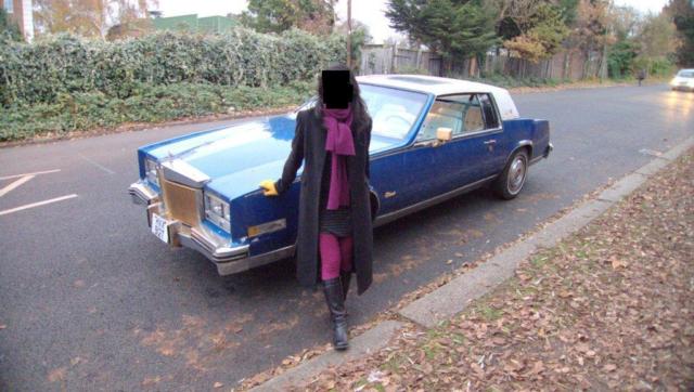 1979 Cadillac Eldorado coupe 2-door - photo 11
