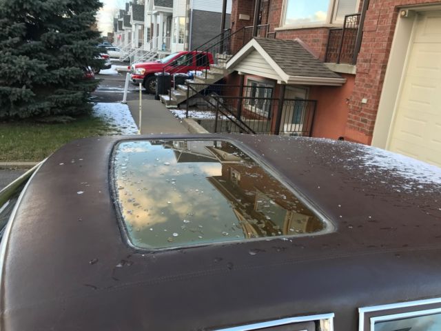 1979 Cadillac Fleetwood Brougham D’Elegance - photo 4