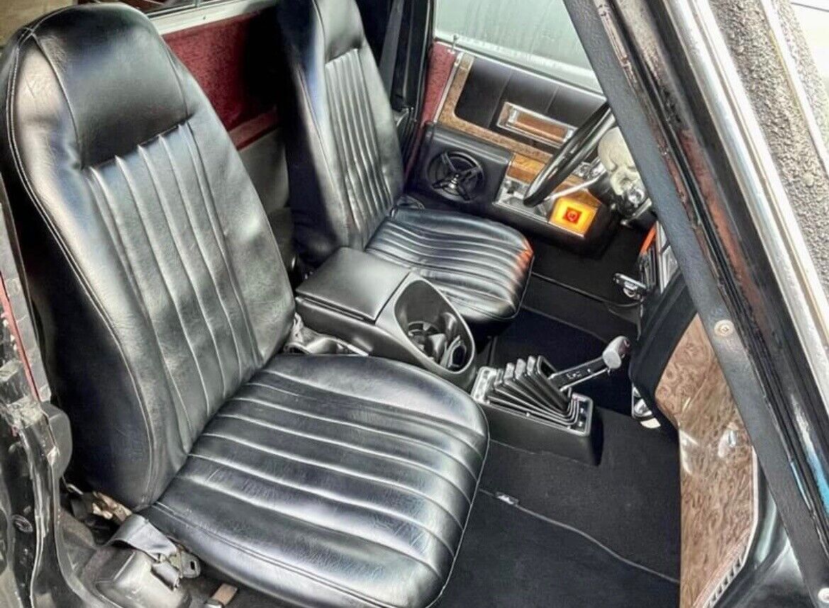 1979 Cadillac Fleetwood Hearse - photo 11