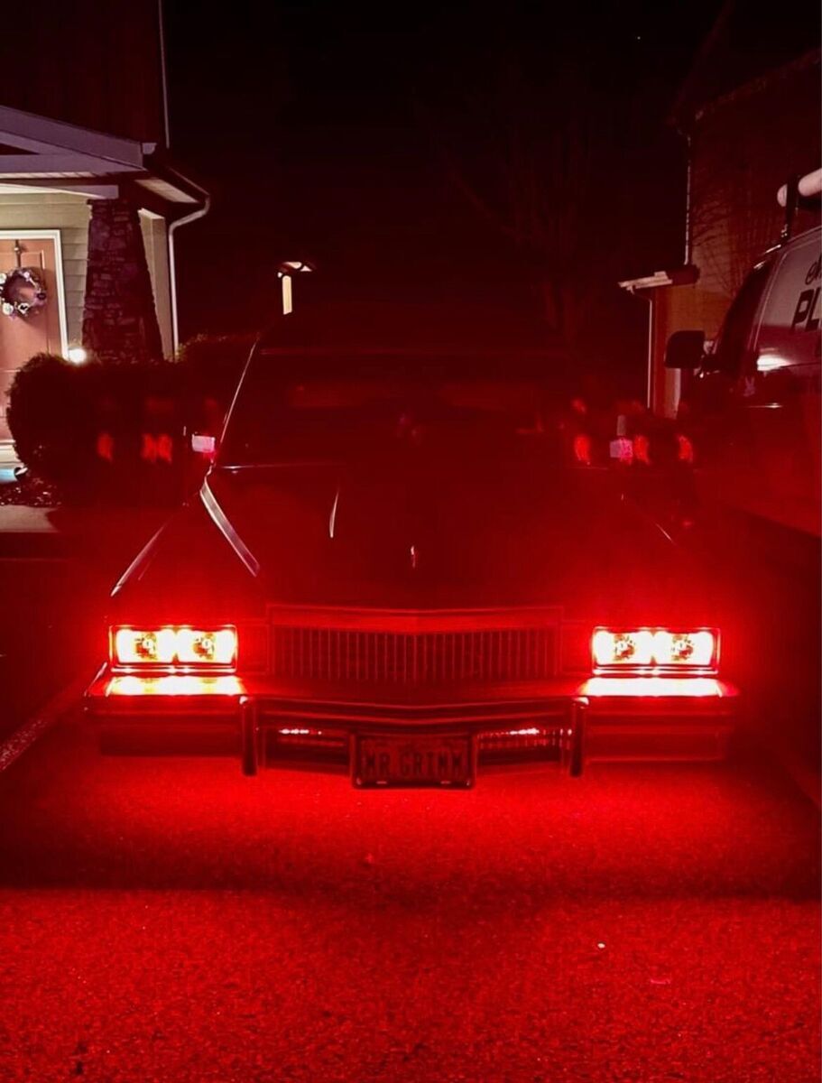 1979 Cadillac Fleetwood Hearse - photo 8