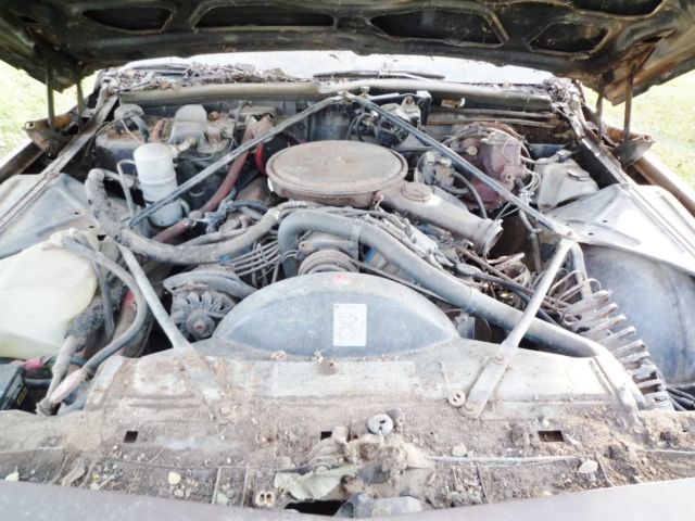1979 Cadillac Sedan DeVille - photo 8