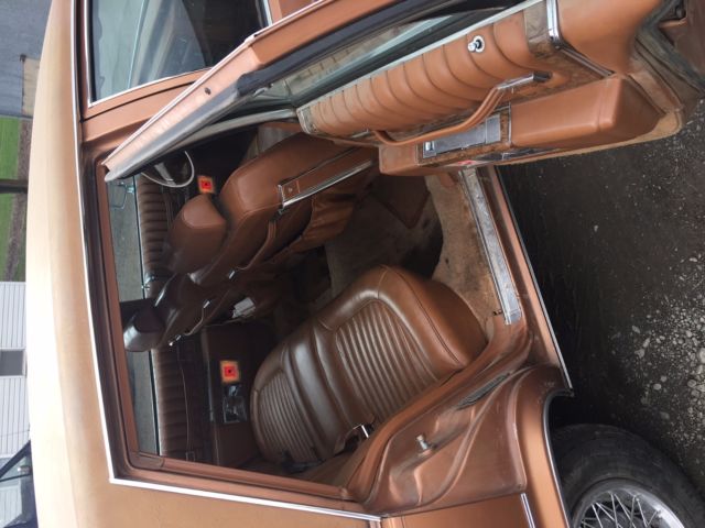 1979 Cadillac Seville Vinyl Top - photo 7