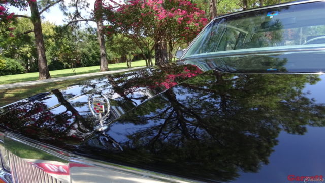 1979 Cadillac Seville Elegante - photo 9