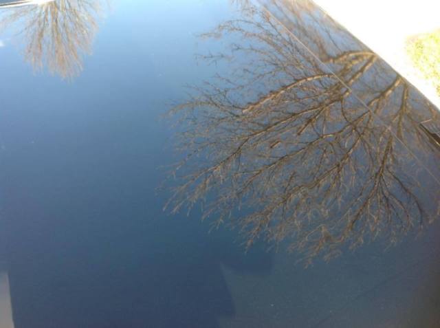 1979 Cadillac Seville ELEGANTE - photo 4