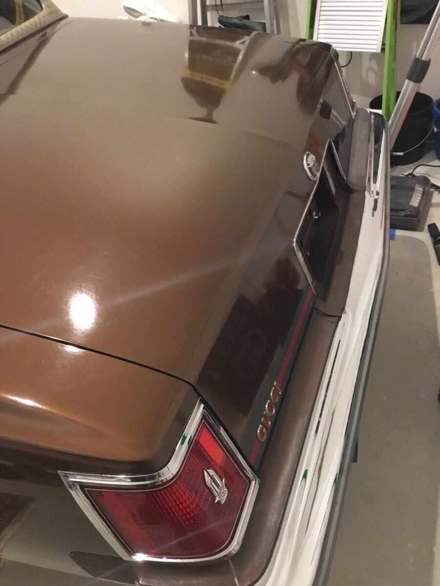 1979 Cadillac Seville CADILLAC GUCCI SEVILLE - photo 6