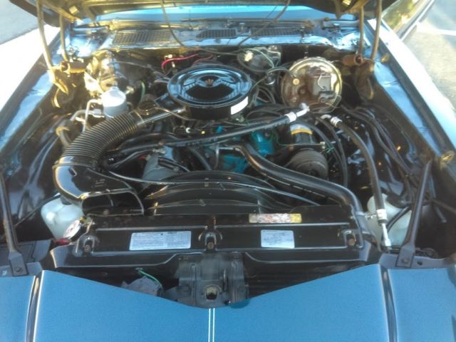 1980 Chevrolet Camaro Berlinetta - photo 10
