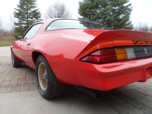 1979 Chevrolet Camaro Z28 - photo 11