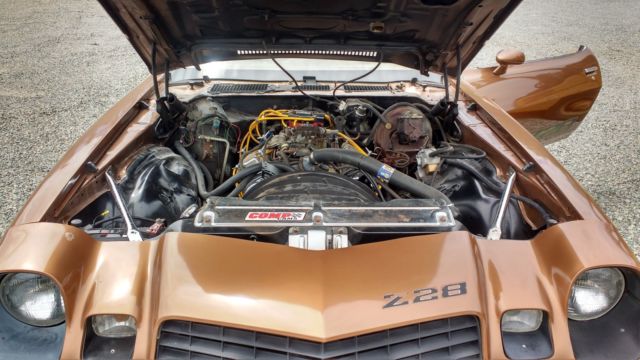 1979 Chevrolet Camaro Z28 - photo 10