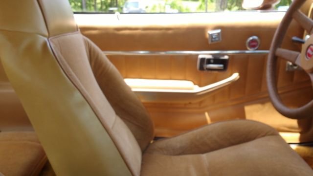 1979 Chevrolet Camaro Z28 - photo 7