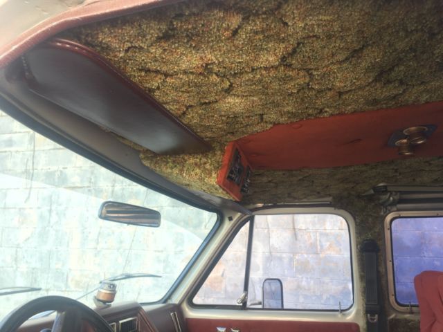 1979 Chevrolet G20 Van - photo 9