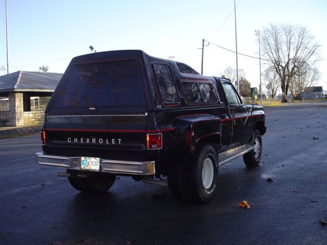 1979 Chevrolet C/K Pickup 3500 scottsdale - photo 3