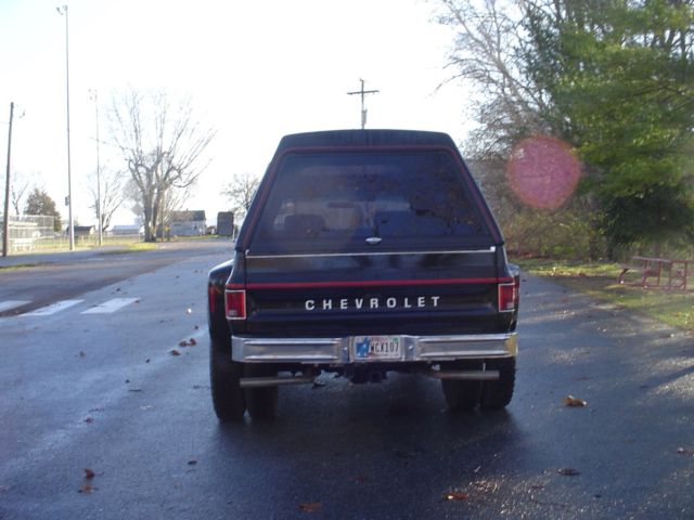 1979 Chevrolet C/K Pickup 3500 scottsdale - photo 4