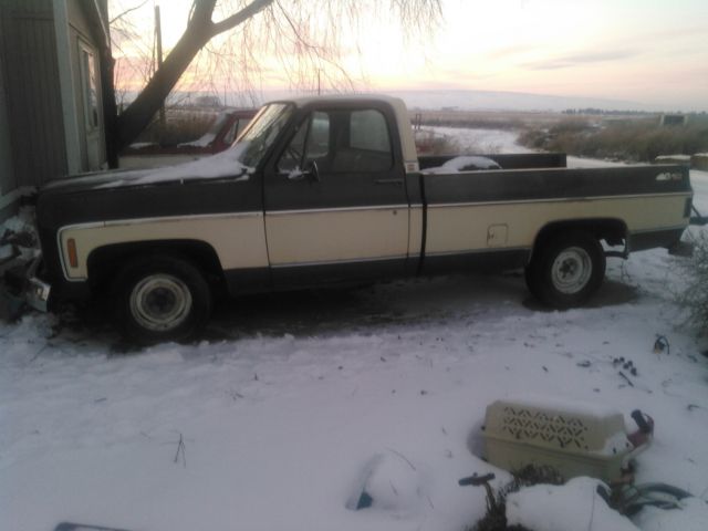 1979 Chevrolet 1500 1979 Chevrolet C/K Pickup 1500