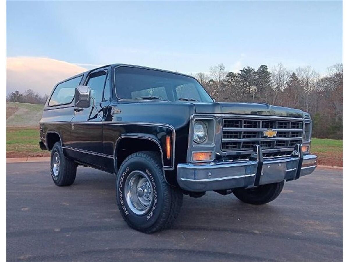 1979 Chevrolet Blazer - photo 9