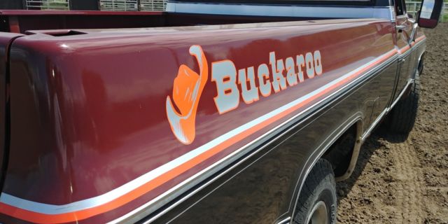 1979 Chevrolet C-10 - photo 10