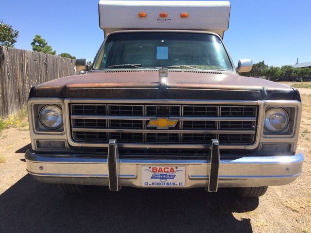 1979 Chevrolet C-10 Silverado Big 10 - photo 5