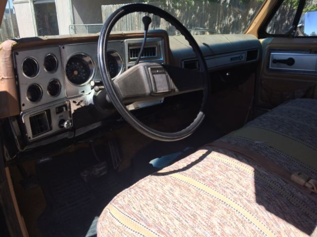 1979 Chevrolet C-10 Silverado Big 10 - photo 6
