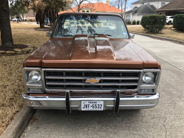 1979 Chevrolet C-10 - photo 3