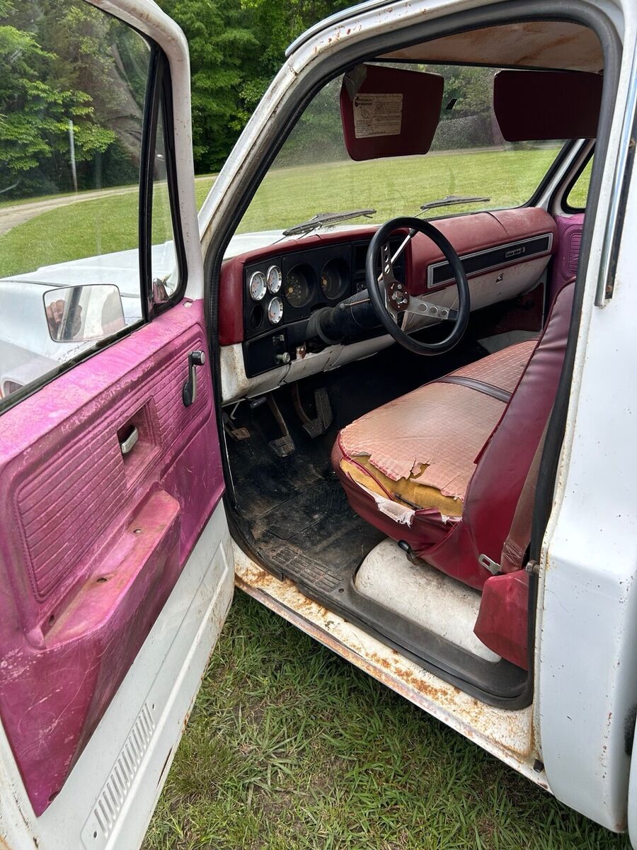 1979 Chevrolet C-10 - photo 10