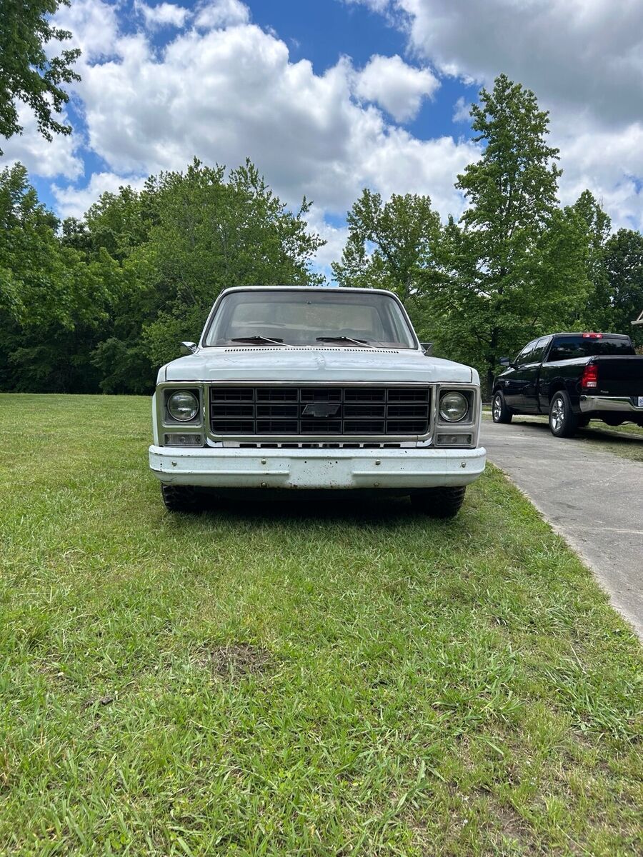 1979 Chevrolet C-10 - photo 2