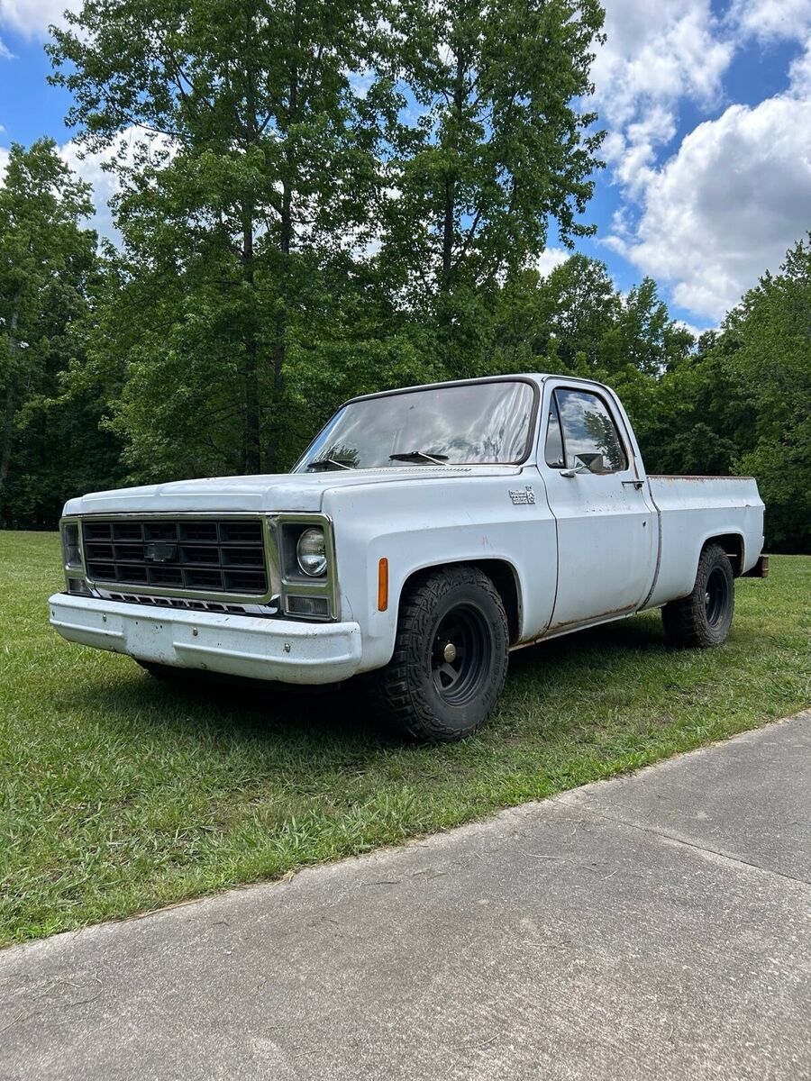 1979 Chevrolet C-10 - photo 3