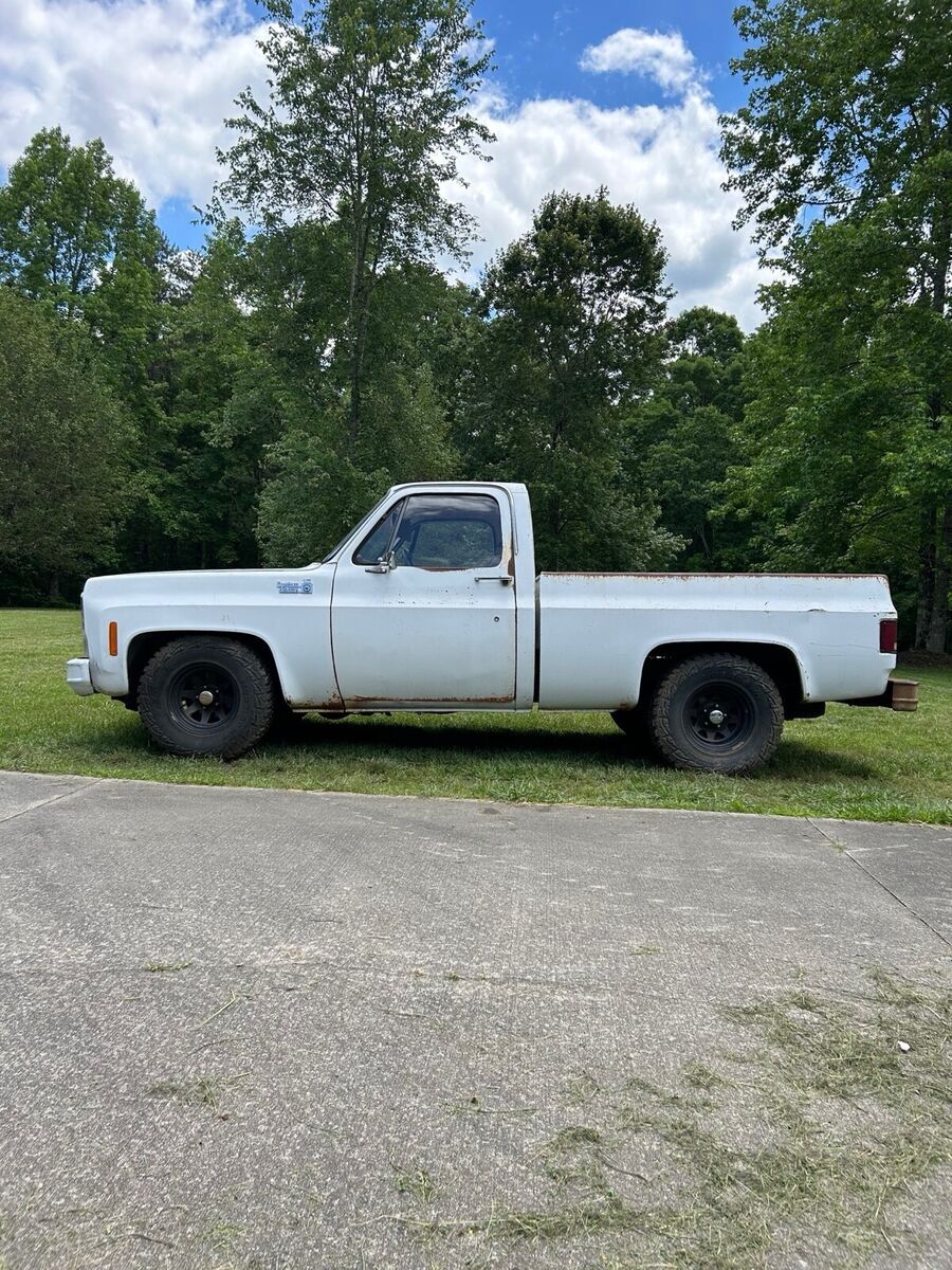 1979 Chevrolet C-10 - photo 4