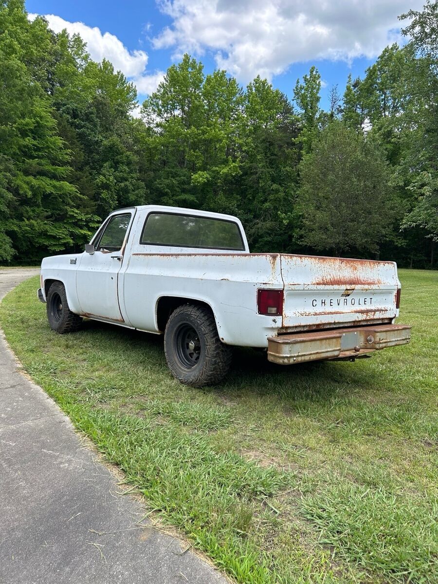 1979 Chevrolet C-10 - photo 5