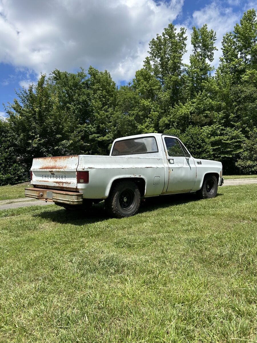1979 Chevrolet C-10 - photo 7