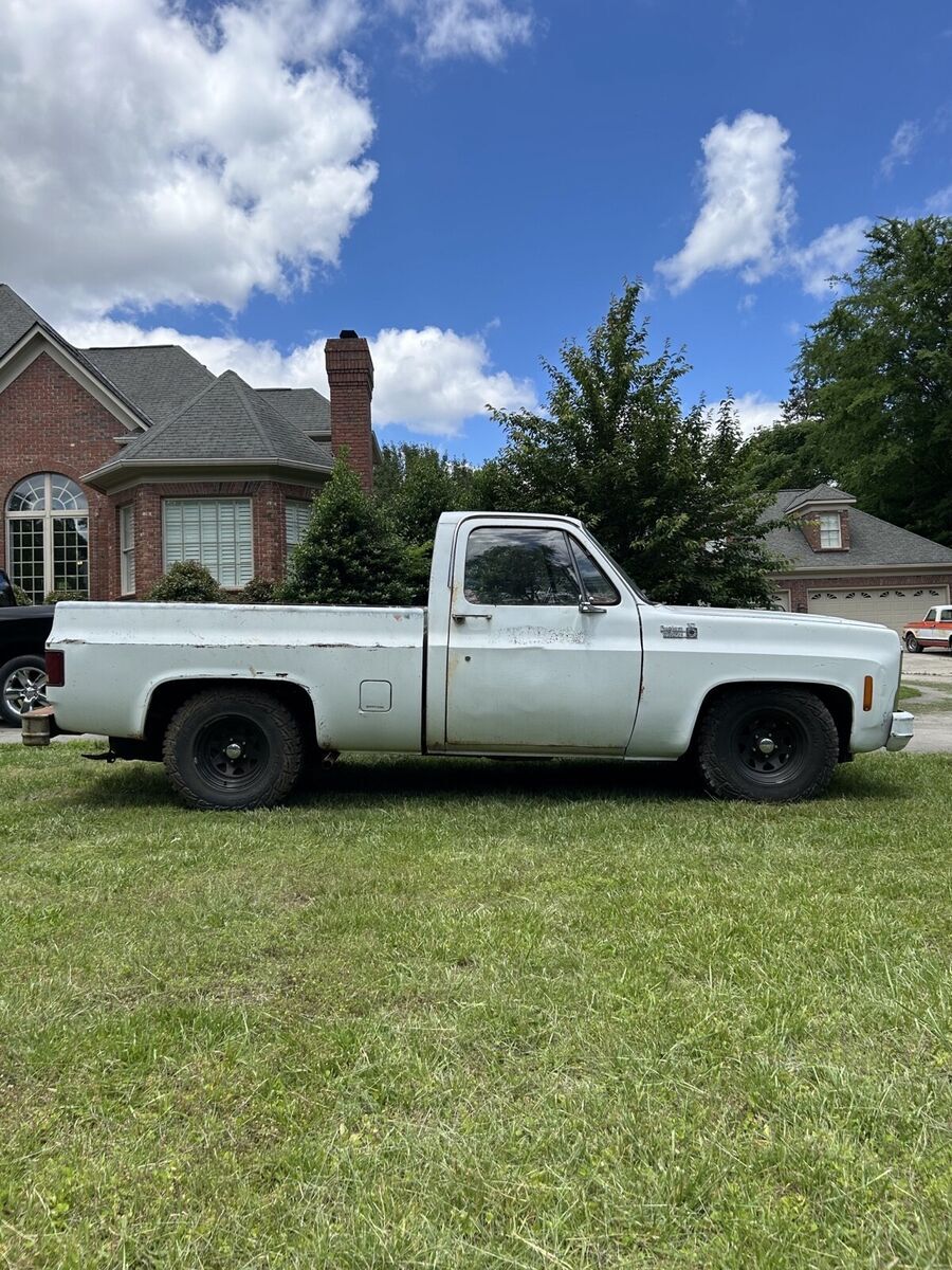 1979 Chevrolet C-10 - photo 8
