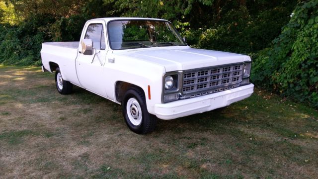 1979 Chevrolet C10 - 39,000 Miles, Excellent Throughout! 1979 Chevrolet C-10