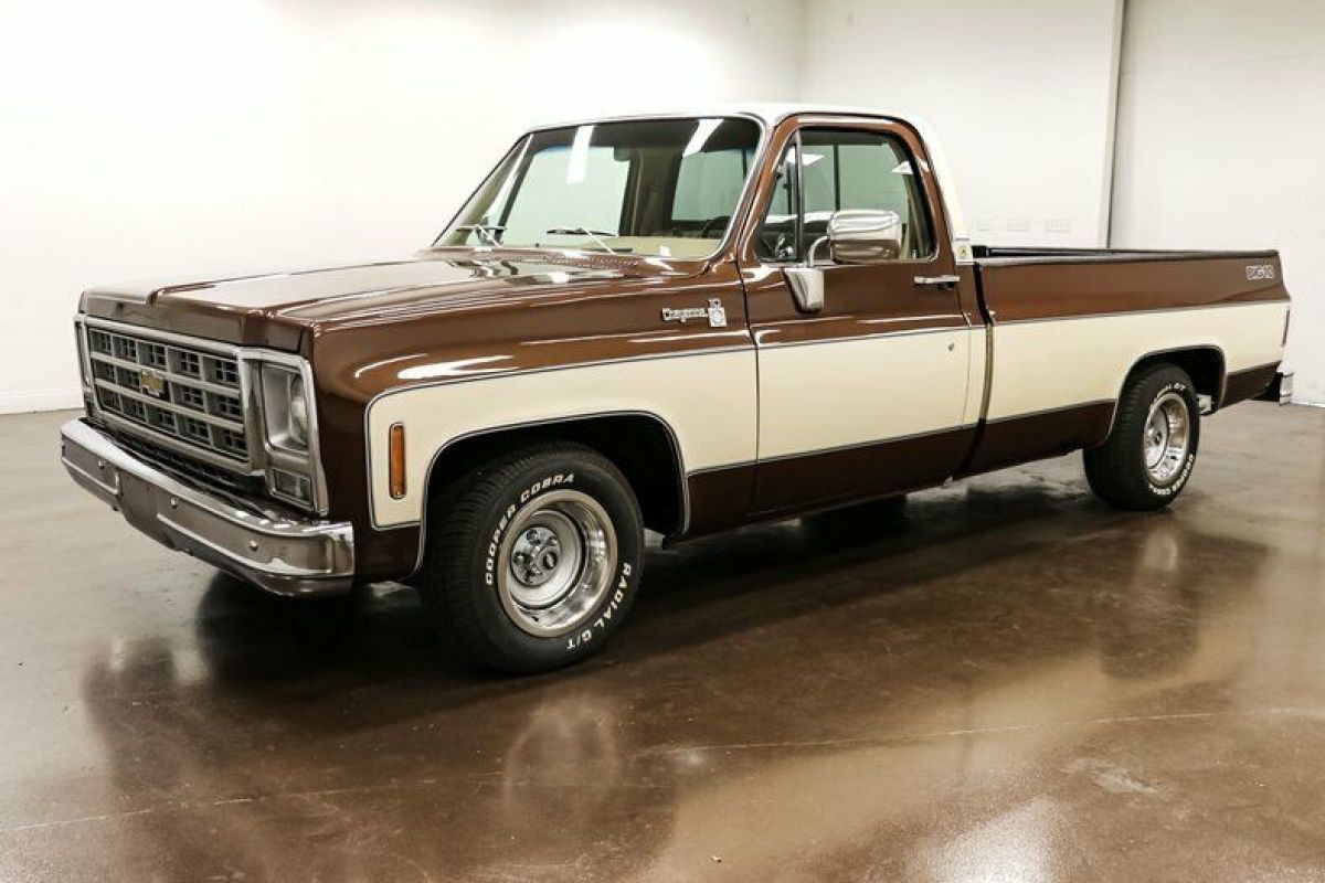 1979 Chevrolet C-10 Big 10 Cheyenne - photo 3