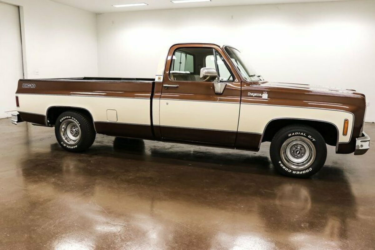1979 Chevrolet C-10 Big 10 Cheyenne - photo 8