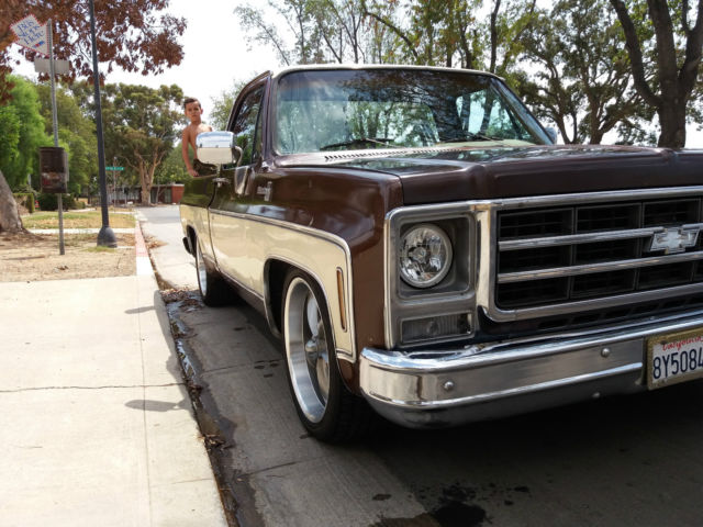 1979 Chevrolet C-10 C10 Silverado Big 10 - photo 5