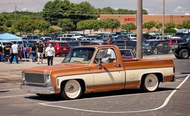 1979 Chevrolet C-10 Bonanza - photo 4
