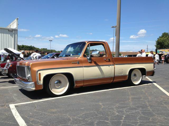 1979 Chevrolet C-10 Bonanza - photo 5